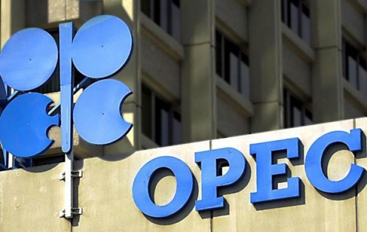 OPEC 104% əməl etdi