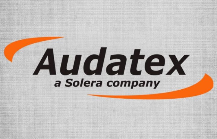 “Audtex”dən istifadə səviyyəsi 30%-ə yaxındır