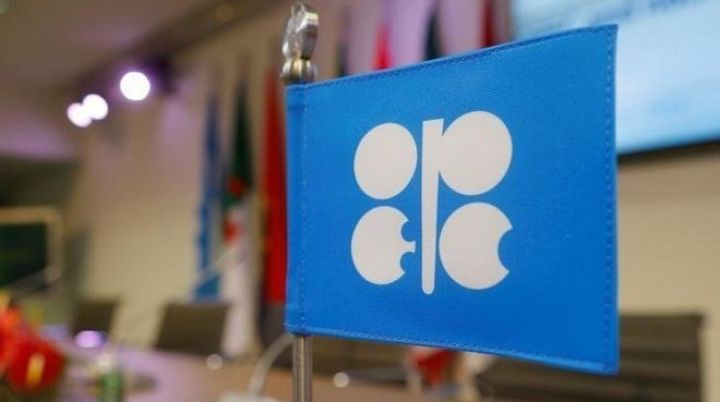 OPEC-in hasilatı mayda artıb