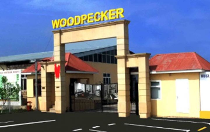 “Woodpecker” mebel fabrikinin sahibinin oğlu boğularaq ölüb