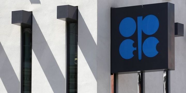 "OPEC-in hasilatı məhdudlaşdırması 5 il davam edəcək"