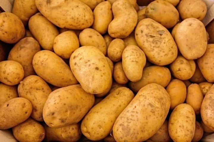 Kartof istehsalı dəyişmədiyi halda ixracı 15% artıb