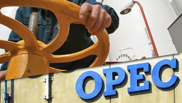 OPEC: Neft tələbində güclü qeyri-müəyyənlik var