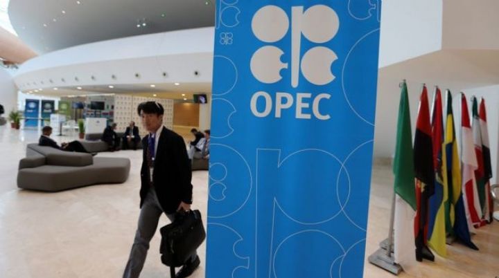 OPEC-in iclası başladı