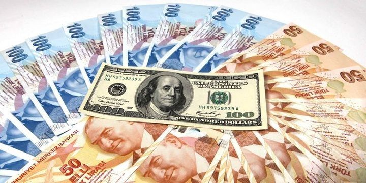 Dollar 4 Türk Lirəsinə qalxdı
