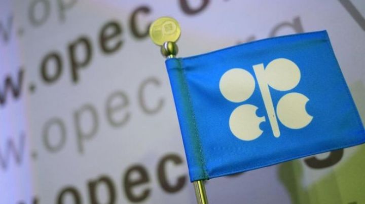 OPEC-in neft hasilatı avqustda artıb