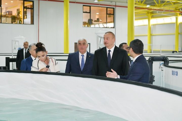 Prezident balıqyetişdirmə zavodu ilə tanış olub - FOTOLAR - YENİLƏNİB
