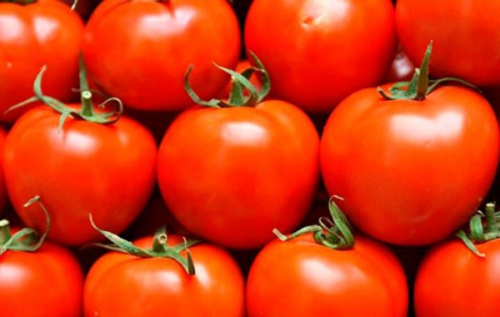 İyulda Azərbaycandan pomidor ixracı kəskin azalıb