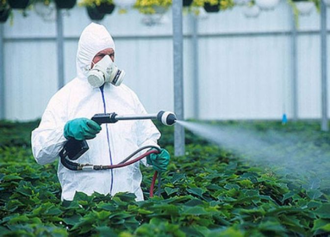 Pestisid tullantıları poliqonu təmir ediləcək - NAZİRLİK BU ŞİRKƏTƏ SİFARİŞ VERDİ