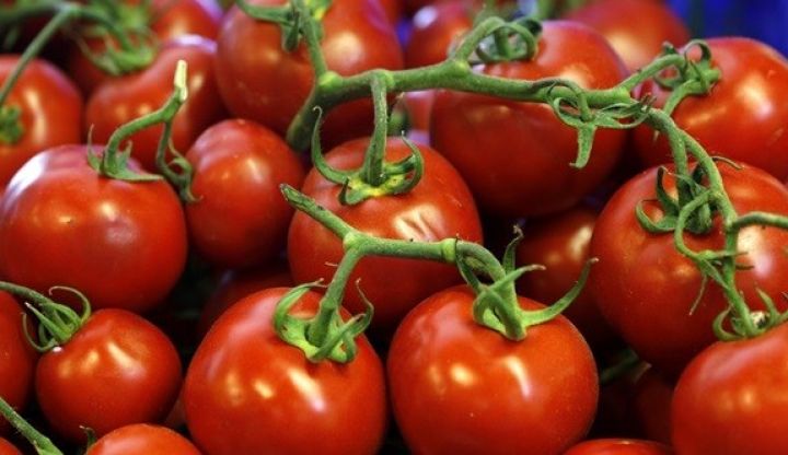 2 ayda pomidor ixracı 18 milyon dollar gəlir gətirib