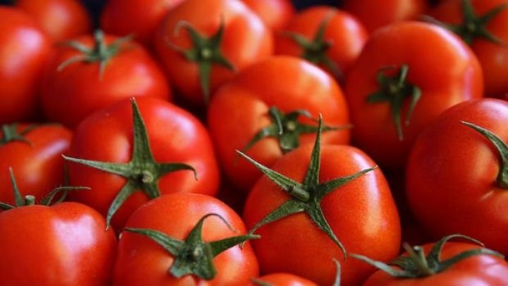 Rusiya Türkiyədən pomidor idxalı kvotasını artırdı