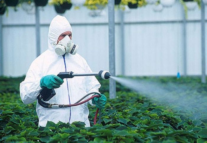 İlham Əliyev: "Pestisid istehsalı zavodu yaradılmalıdır"