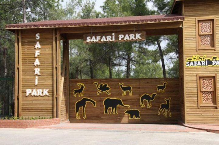 Prezident Safari Parkında - 480 hektar ərazi, 790 heyvan