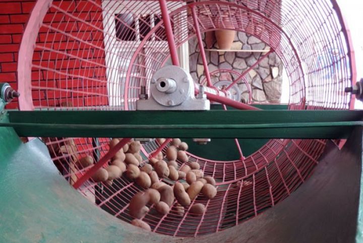 Qusarlı fermerdən kəşf - bir gündə 50 tona yaxın kartof çeşidləyir