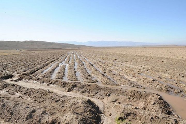 Əkin sahələrinin suvarılması üçün 7 milyon manatlıq sifariş