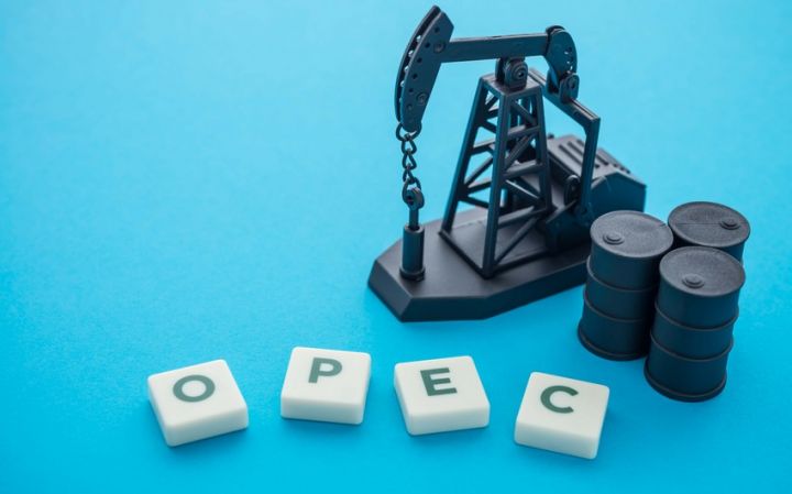 OPEC Azərbaycanda neft hasilatı ilə bağlı proqnozunu açıqlayıb