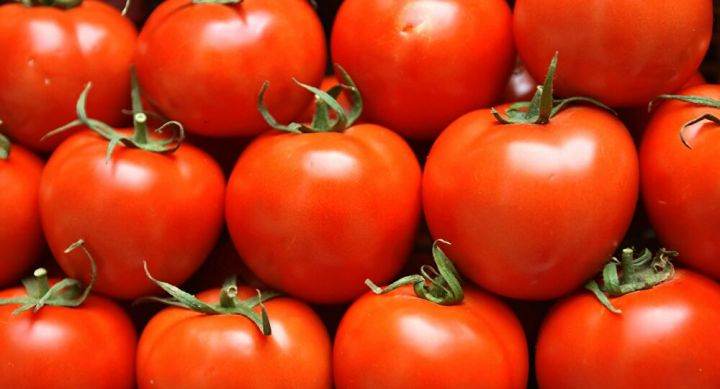 Avqustda Azərbaycandan pomidor ixracı kəskin azalıb