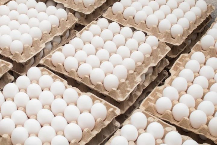 Azərbaycanda yumurta istehsalı 10 faizdən çox artıb