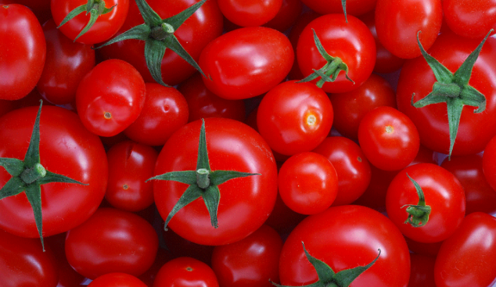 Pomidor bu il 128 milyon dollardan çox valyuta gətirib