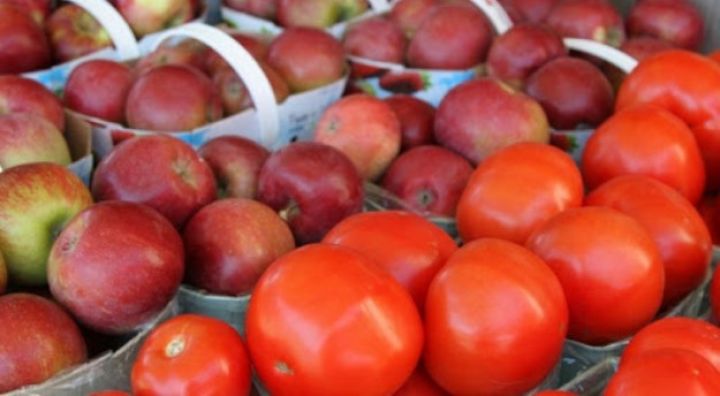 Rusiya Azərbaycanın daha 12 müəssisəsindən pomidor və alma idxalına icazə verdi - SİYAHI