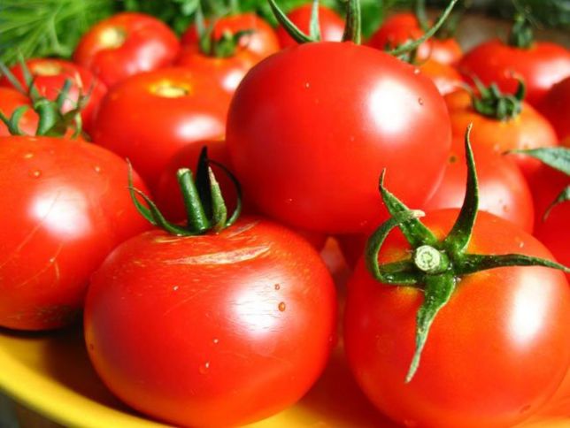 Rusiya Azərbaycanın daha 12 müəssisəsindən pomidor idxalına icazə verdi - ADLARI