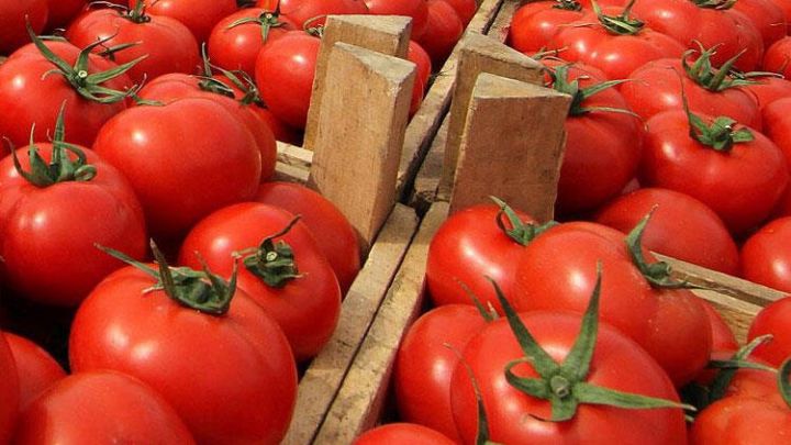 Azərbaycanın pomidor ixracı 2 dəfə azalıb