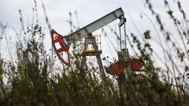 OPEC+, ABŞ-ın neft satışına cavab olaraq hasilatı artırmaqdan imtina edəcək