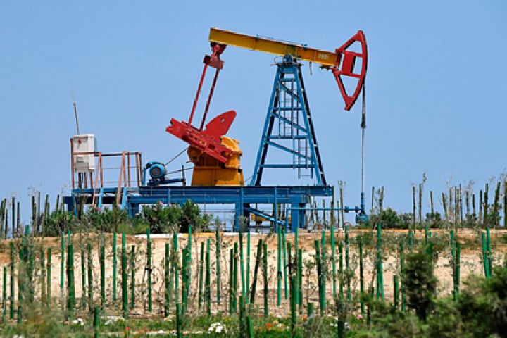 Azərbaycan neftinin qiyməti kəskin azalıb