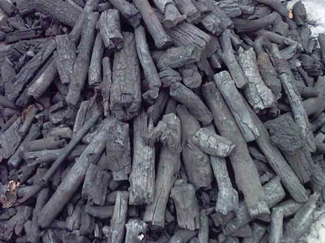 Azərbaycanda qanunsuz ağac kömürü istehsalının qarşısı alınır