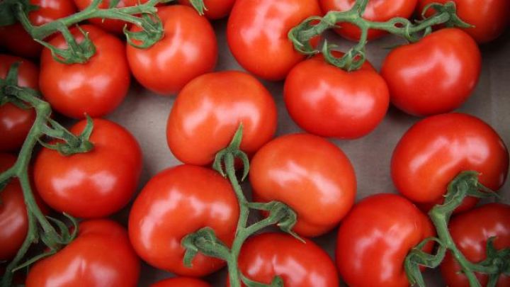 Rusiya 50 ton Azərbaycan pomidorunu geri qaytarıb