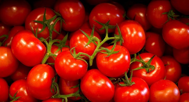 Azərbaycanın pomidor ixracında sıçrayış - 1 AYDA 4 AYDAKI QƏDƏR SATIŞ