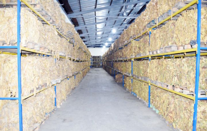 671 ton quru tütün istehsal edib, 187 tonunu Rusiyaya ixrac edib