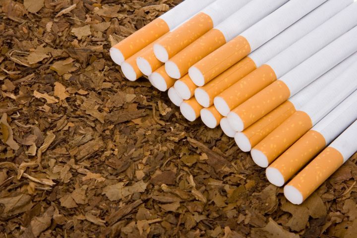 Tütün məmulatları istehsalçılarının dövlət rüsumundan azad ediləcəyi hallar müəyyənləşir