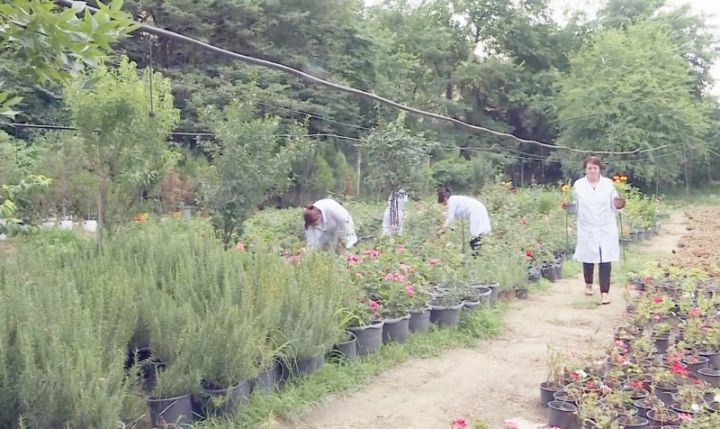 Ölkədə ilk Ekoloji Park ­Kompleksi Gəncədə yaradılır