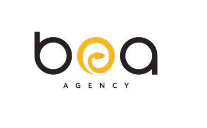 "BOA Agency" 2 dəfə böyüyüb, mənfəəti 1 milyon manatı aşıb