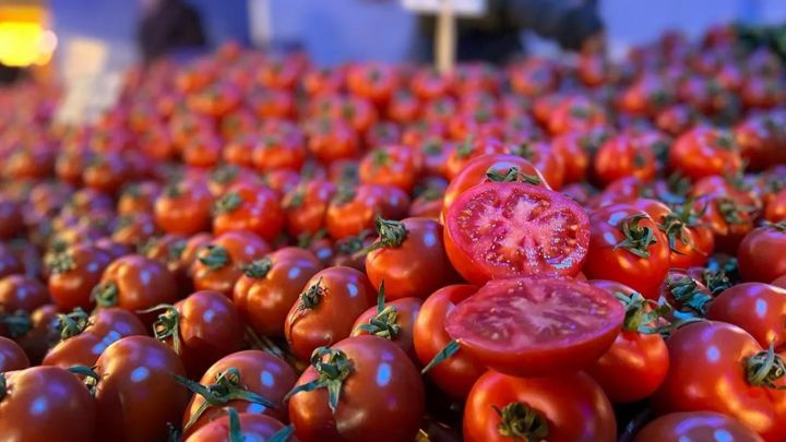 Azərbaycanın pomidor istixanalarının ixracdan gəliri azalıb