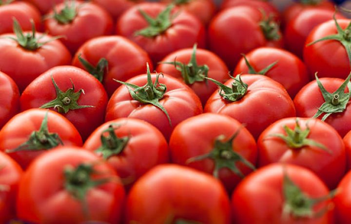 Azərbaycandan pomidor ixracı daha çox gəlir gətirib - 5 AYDA 108 MİLYON DOLLAR