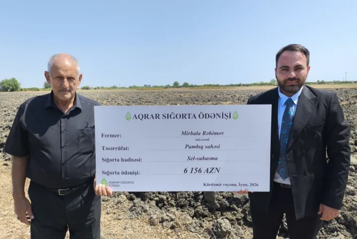 145 manat ödədi, dolu vurdu, 6 156 manat aldı – Pambıq fermerinə SIĞORTA ÖDƏNİŞİ