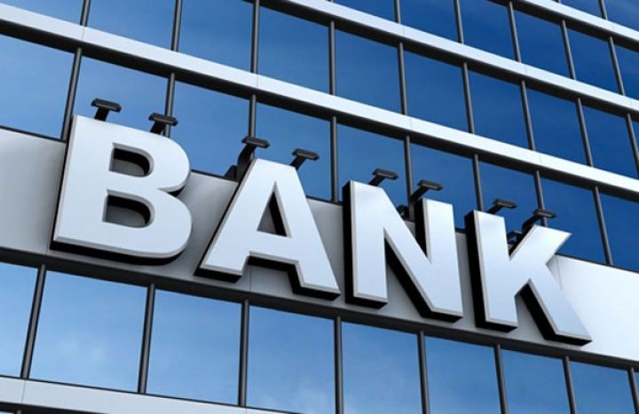 Deputat: "Banklar valyutadəyişmə məntəqəsinə çevrilib"