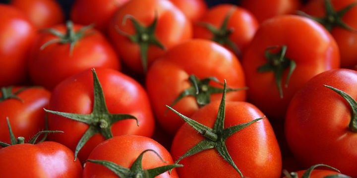 Rusiya 17 min ton pomidorumuzda virus tapdı
