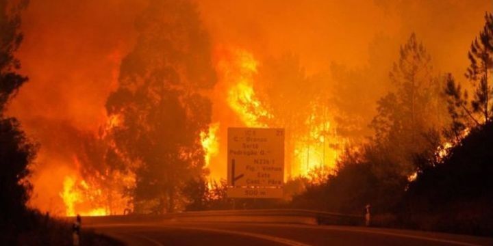 Portuqaliyada meşə yanğını: 57 ölü var