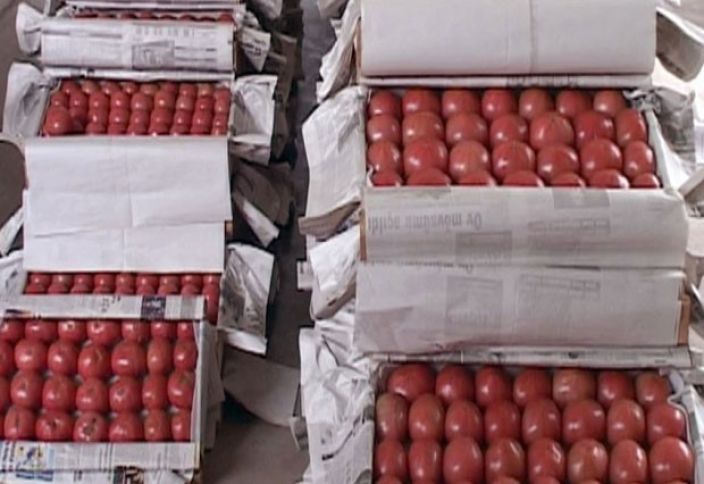 "Biz hər hektardan 130-150 ton pomidor əldə edə bilirik"