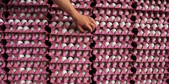 İranda yumurta böhranı yaşanır - QONŞUDAN YARDIM İSTƏDİ