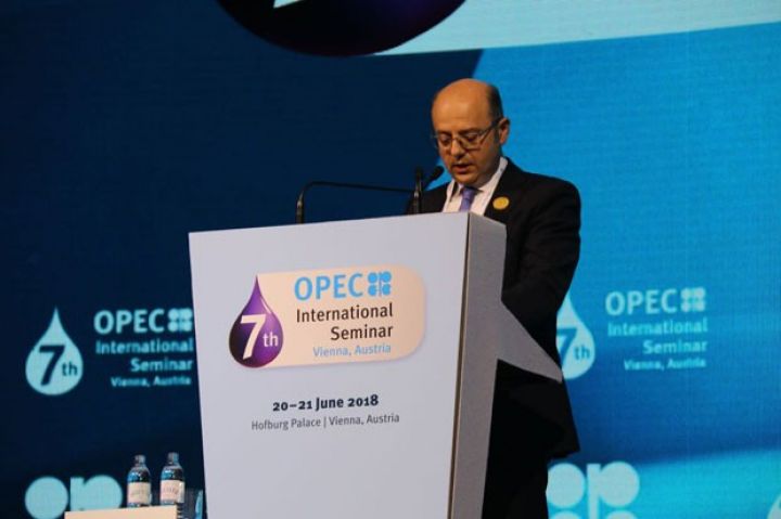 Azərbaycanın energetika naziri OPEC-in tədbirində çıxış etdi