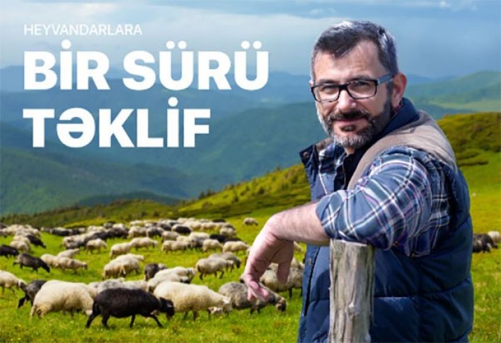 "AccessBank"dan heyvandarlıqla məşğul olanlara BİR SÜRÜ TƏKLİF!