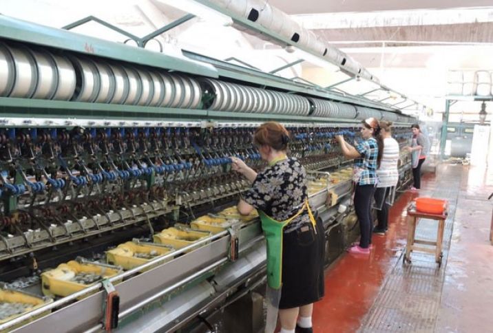  “Azəripək”: Bu il 50 tondan çox xam ipək istehsalı proqnozlaşdırılır