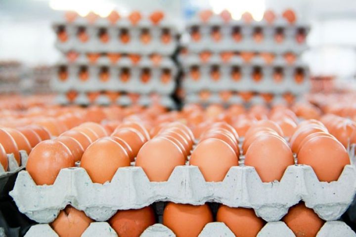 Yumurta qıtlığının bir səbəbi - XARİCƏ DAŞINIB