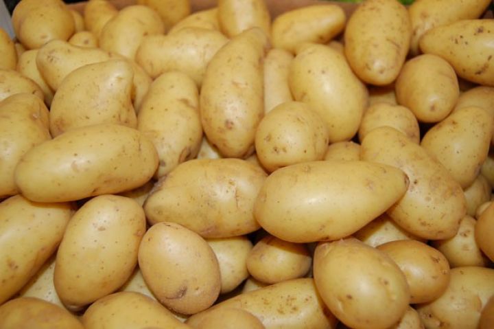 Kartofa gömrük rüsumu 2 dəfə artırıldı 