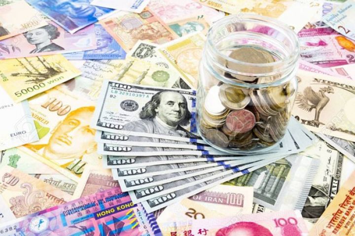 Gürcüstanda dollar və avro yenidən bahalaşıb