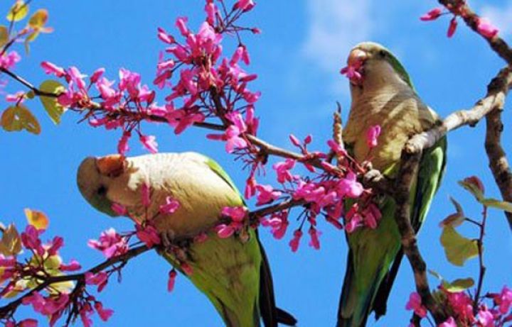 Aprel ayına olan hava proqnozu açıqlanıb